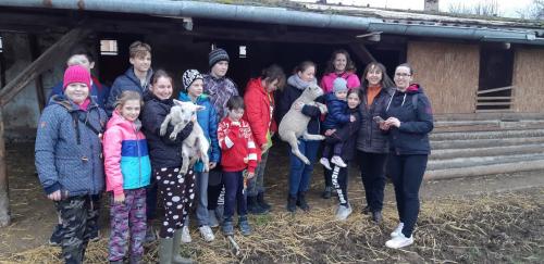 Výlet za zvířátky na mini farmu do Brozan