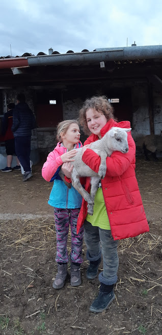 Výlet za zvířátky na mini farmu do Brozan
