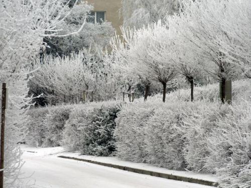 Krásná zima 2012/2013 v Siřejovicích