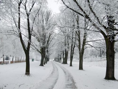 Krásná zima 2012/2013 v Siřejovicích
